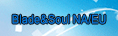 Blade&Soul NA/EU RMT